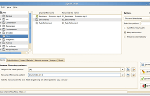pyRenamer screenshot 1
