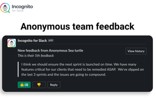 Incognito for Slack screenshot 1