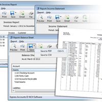 Express Accounts Accounting Software - Generate Reports
