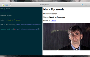 Live preview split pane