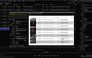 Filmlight Daylight screenshot 2