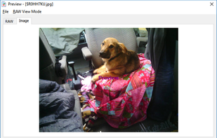 Preview generated from file stream! WYSIWYG!