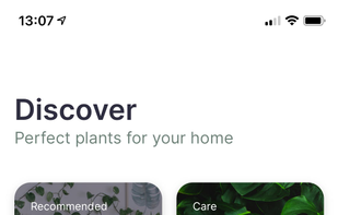 Jungled screenshot 1