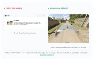GeoGuessr AI screenshot 2