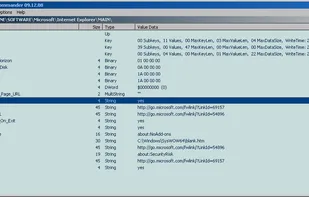 Registry Commander screenshot 1