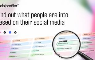 Socialprofiler screenshot 1