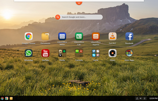 Endless OS screenshot 1