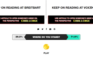 The Perspective screenshot 1