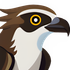 Osprey: Browser Protection icon