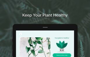 Plant Doctor : Disease Diagnosis screenshot 1