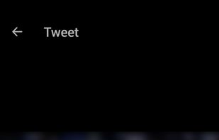 Video GIF Downloader for Twitter screenshot 2