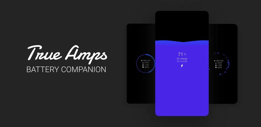 True Amps Battery Companion Alternatives 25+ Battery Monitors