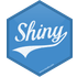 Shiny icon