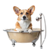 CL Debloat icon