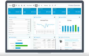 Terapeak screenshot 1