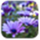HD Wallpapers icon