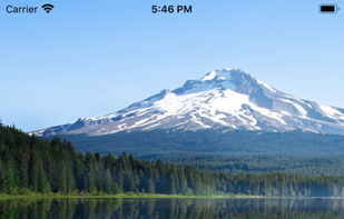 AnswerConnect screenshot 3