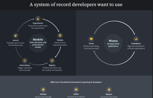 Weights & Biases screenshot 2