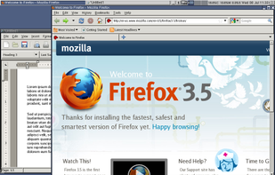 Tiny Core Linux screenshot 3