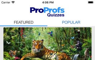 ProProfs Quizzes screenshot 1