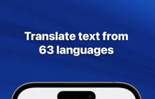 Translate Professional screenshot 1