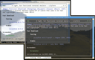 LilyTerm screenshot 2
