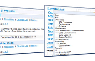 Organize Projects Logically