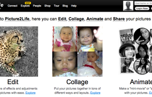 Picture2Life screenshot 1