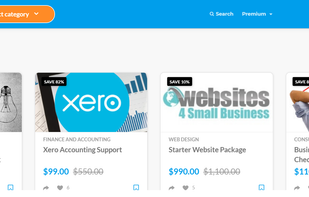 SavvySME screenshot 2