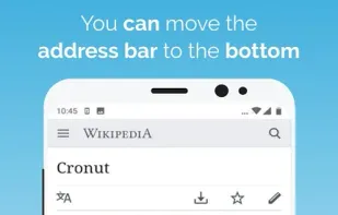 Kiwi Browser screenshot 3