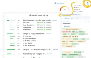 NeuronWriter screenshot 3