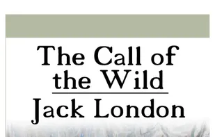 Raccoon Reader screenshot 1