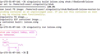 Screenshot of singularity building an hello-world container