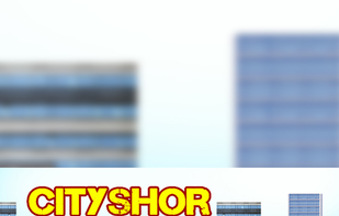 City Shor screenshot 1