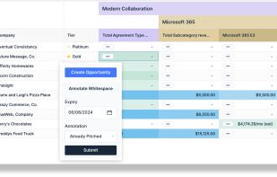 Whitespace analysis, and opportunity creation