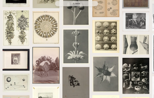 Public Work screenshot 1