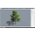 Treeit icon