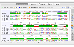 Geneious screenshot 1