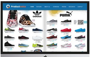 Product Voice screenshot 1