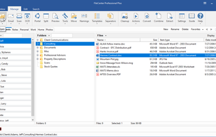 Open & save any file type