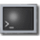 LilyTerm icon