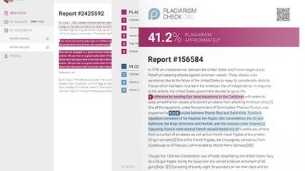 Report marks plagiarism, quotes and references. 