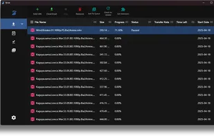 Brisk Download Manager screenshot 2