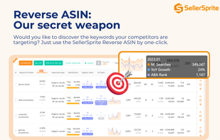 SellerSprite screenshot 2