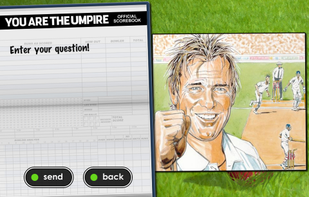 You Are The Umpire screenshot 1
