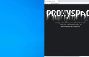 ProxySpace.pro screenshot 1