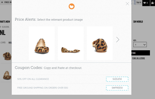 PoachIt's Chrome Extension in action, allowing you to track products and view valid coupon codes 