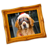 Spect icon