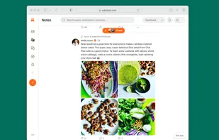 Substack Notes screenshot 2