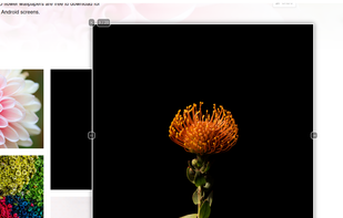 Image Max URL screenshot 1